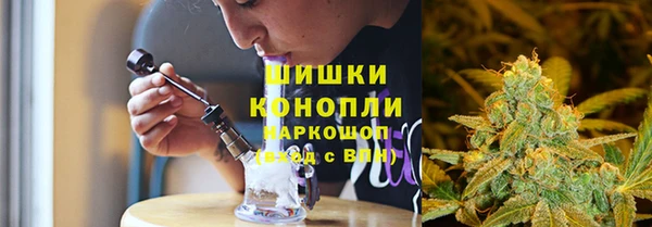 ECSTASY Богданович