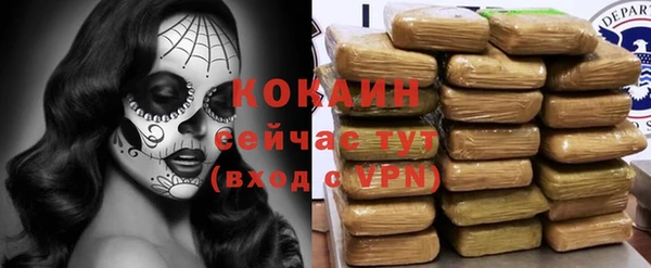 эйфоретик Богородицк
