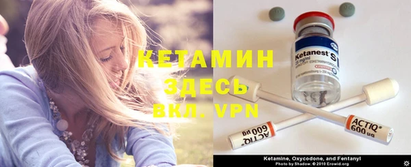 ECSTASY Богданович