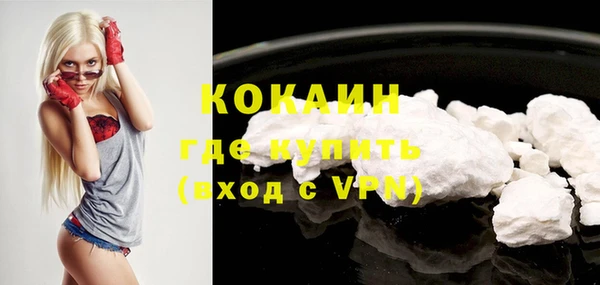 ECSTASY Богданович