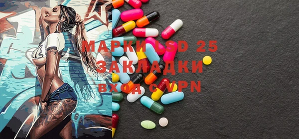 ECSTASY Богданович