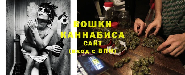 ECSTASY Богданович
