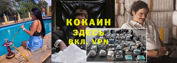 ECSTASY Богданович
