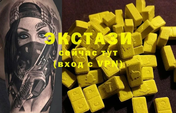 ECSTASY Богданович